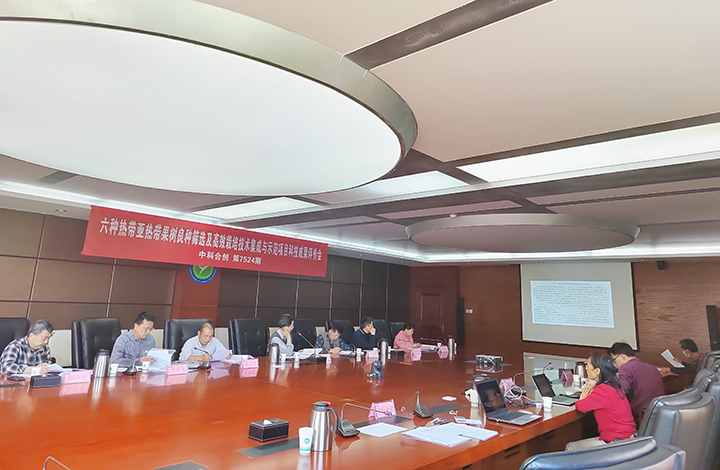 六种热带亚热带果树良种筛选及高效栽培技术集成与示范 anli.jpg